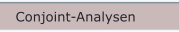 Conjoint-Analysen